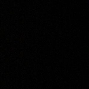 Meet your Posher, Kylie